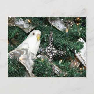 Paraket in einem Weihnachtsbaum Feiertagspostkarte