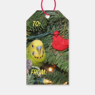 Paraket in einem Weihnachtsbaum Geschenkanhänger