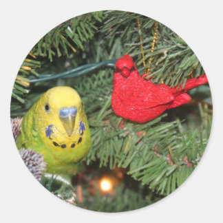 Paraket in einem Weihnachtsbaum Runder Aufkleber
