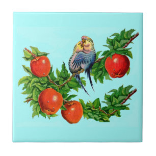 Parakete in Liebe Fliese