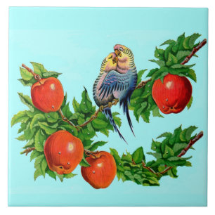 Parakete in Liebe Fliese