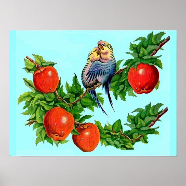 Parakete in Liebe Poster (Vorne)