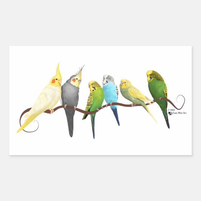 Parakets & Cockatiels! Rechteckiger Aufkleber (Vorderseite)