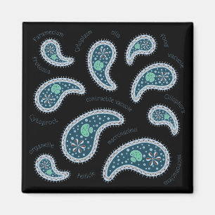 Paramecia Paisley Biologie Wissenschaft Mikrobe Da Magnet