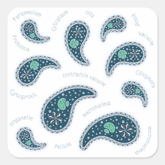 Paramecia Paisley Biology Science MIcrobe Dark Quadratischer Aufkleber (Vorderseite)