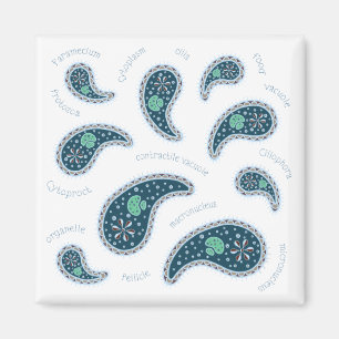 Paramecien Paisley Biologie Wissenschaft Mikrobe W Magnet