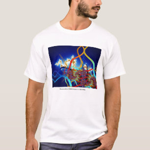 Paramoosium T - Shirt