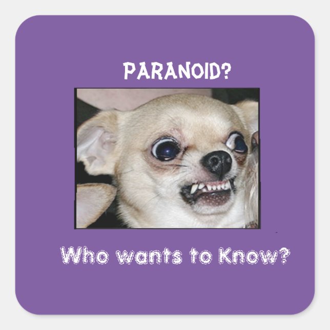 Paranoid Chihuahua bleibt an der Barking Angst fes Quadratischer Aufkleber (Vorderseite)