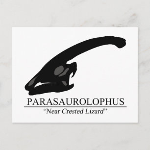 Parasaurolophus Postkarte