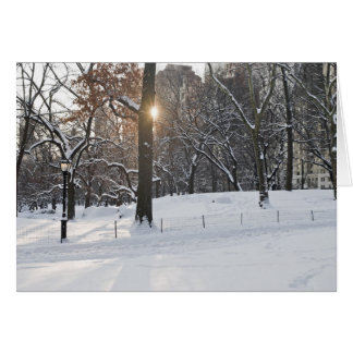 Parc central Sunlight d'hiver