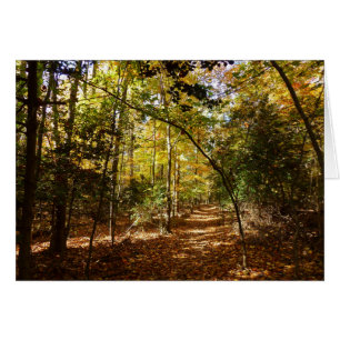 Parc de Greenbelt en automne I paysage du Maryland