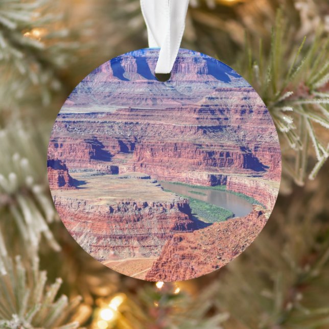 Parc d'état des chevaux morts Moab Utah (Arbre)
