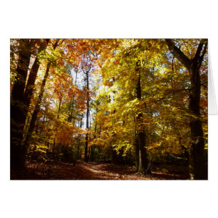 Parc Greenbelt en automne II Scène de la nature da