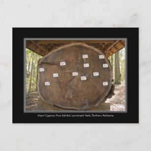 Parc historique, Dothan Alabama carte postale