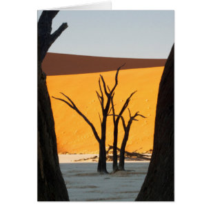 Parc Namib-Naukluft, Sossusvlei  Dead Vlei