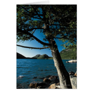 Parc national Acadia, London Pond, Maine