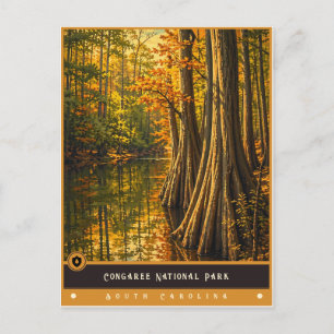 Parc national de Congaree Carte postale ancienne
