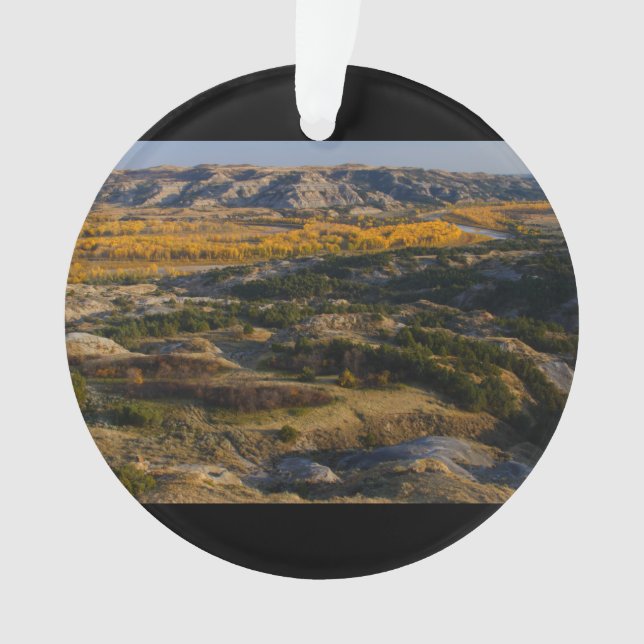 Parc national de Theodore Roosevelt (devant)