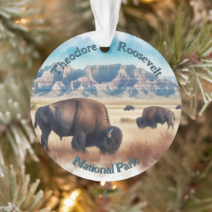 Parc national de Theodore Roosevelt Bison Souvenir