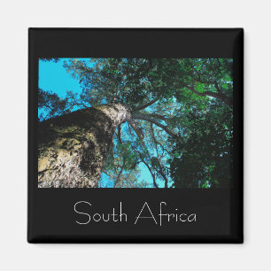 Parc national de Tsitsikamma Magnet Afrique du Sud