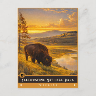 Parc national de Yellowstone Carte postale ancie