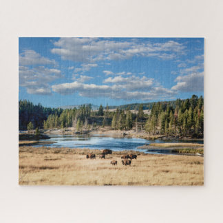 Parc national de Yellowstone : Puzzle Buffalo
