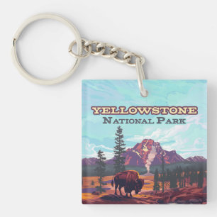 Parc national de Yellowstone Wyoming Bison Geyser