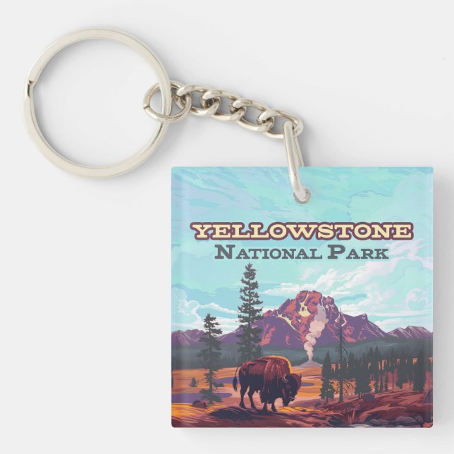 Parc national de Yellowstone Wyoming Bison Geyser (Devant)