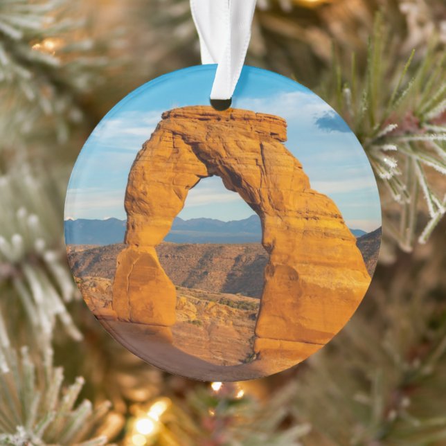 Parc national des Arches MOAB Utah (Arbre)