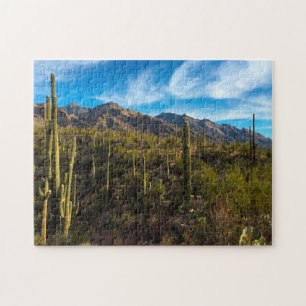 Parc national du cactus saguaro Arizona. Puzzle