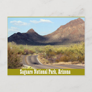Parc national du Saguaro, Tuscon Arizona Carte pos