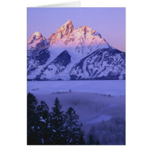 PARC NATIONAL GRAND TETON, WYOMING. ÉTATS-UNIS. Br