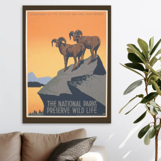 Parc national - Réserve faunique - Poster vintage