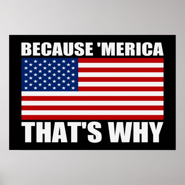 PARCE QUE 'MERICA C'EST POURQUOI US Drapeau Poster (Devant)