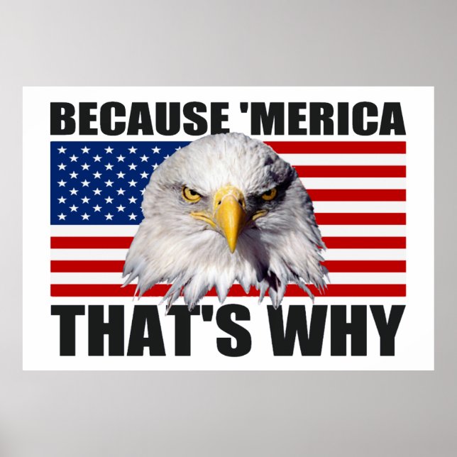PARCE QUE 'MERICA C'EST POURQUOI US Drapeau Poster (Devant)
