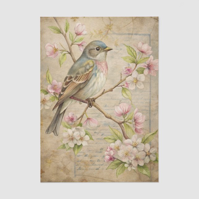 Parchment with Bird on Branch with Pink Blossoms Seidenpapier (Vorderseite)
