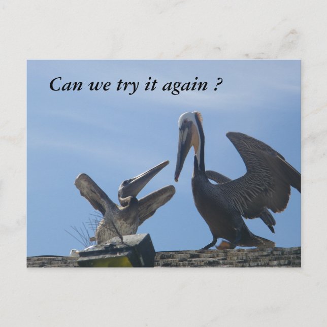 Pardonnez-moi/ Sortez avec moi_ Carte postale (Devant)