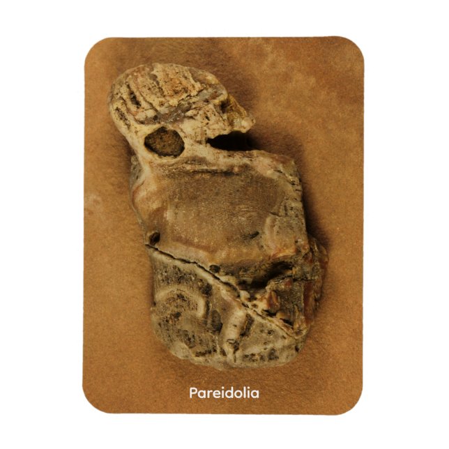 Pareidolia Magnet (Vertikal)