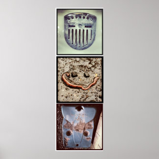Pareidolia Trilogy Poster