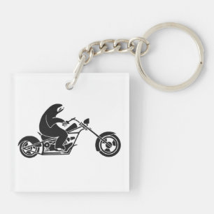 Paresse lente sur un vélo rapide