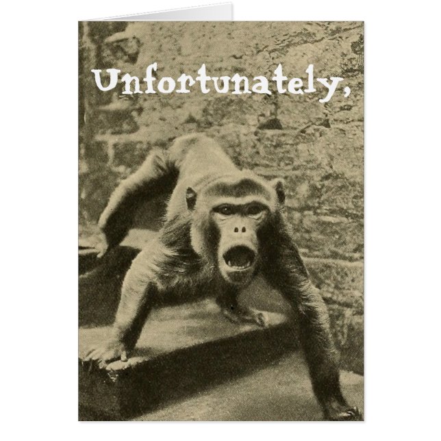 Parfois c'est ton cirque, ils sont tes singes (Devant)