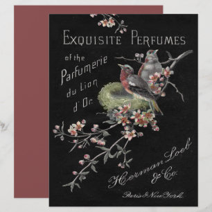 Parfums vintages Oiseaux floraux Nid Papier à scan