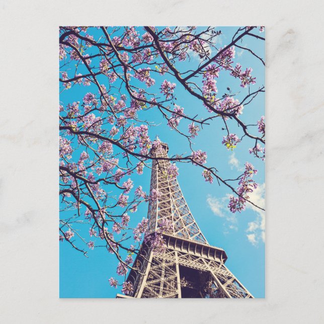 Paris Eiffel Tower Blooms im Springtime Postcard Postkarte (Vorderseite)