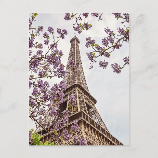 Paris Eiffelturm im Springtime Foto Postkarte (Vorderseite)