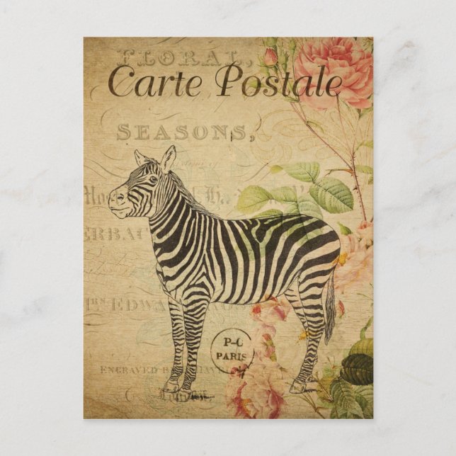 Paris Frankreich Vintag Zebra Travel Postkarte (Vorderseite)