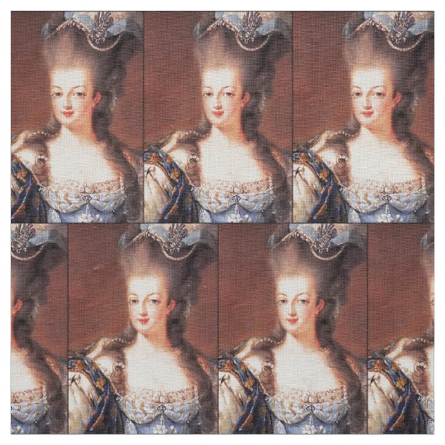 Paris French Marie Antoinette Fabric Stoff (Muster)