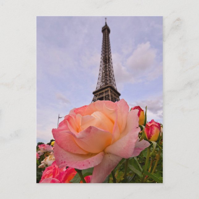 Paris im Frühling ist immer eine gute Idee Postkarte (Vorderseite)