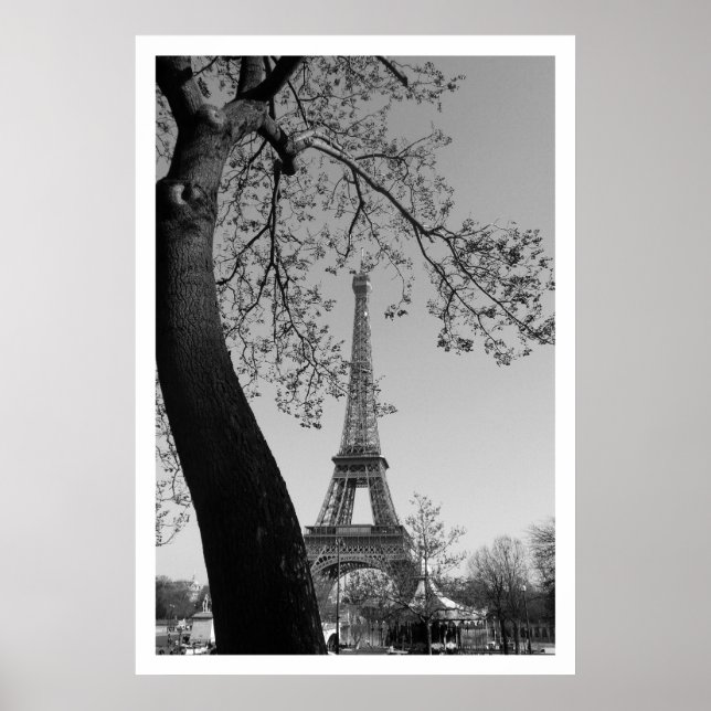 paris in spring poster (Vorne)
