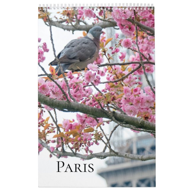 Paris-Kalender Kalender (Titelbild)