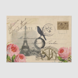 Paris Krähe Globus Französische Postkarte Rosafarb Seidenpapier